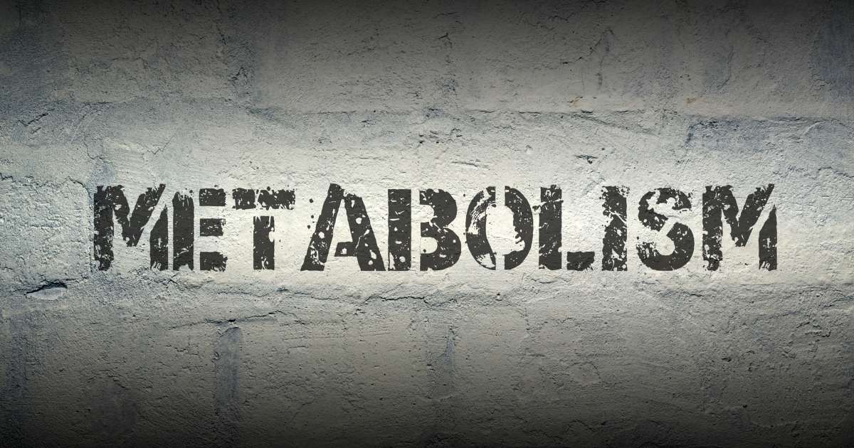 Acelerar o Metabolismo Naturalmente: Dicas para seu Site de Saúde